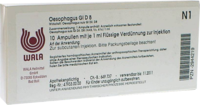 OESOPHAGUS GL D 8 Ampullen