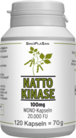 NATTOKINASE 100 mg Mono 20.000 FU Kapseln